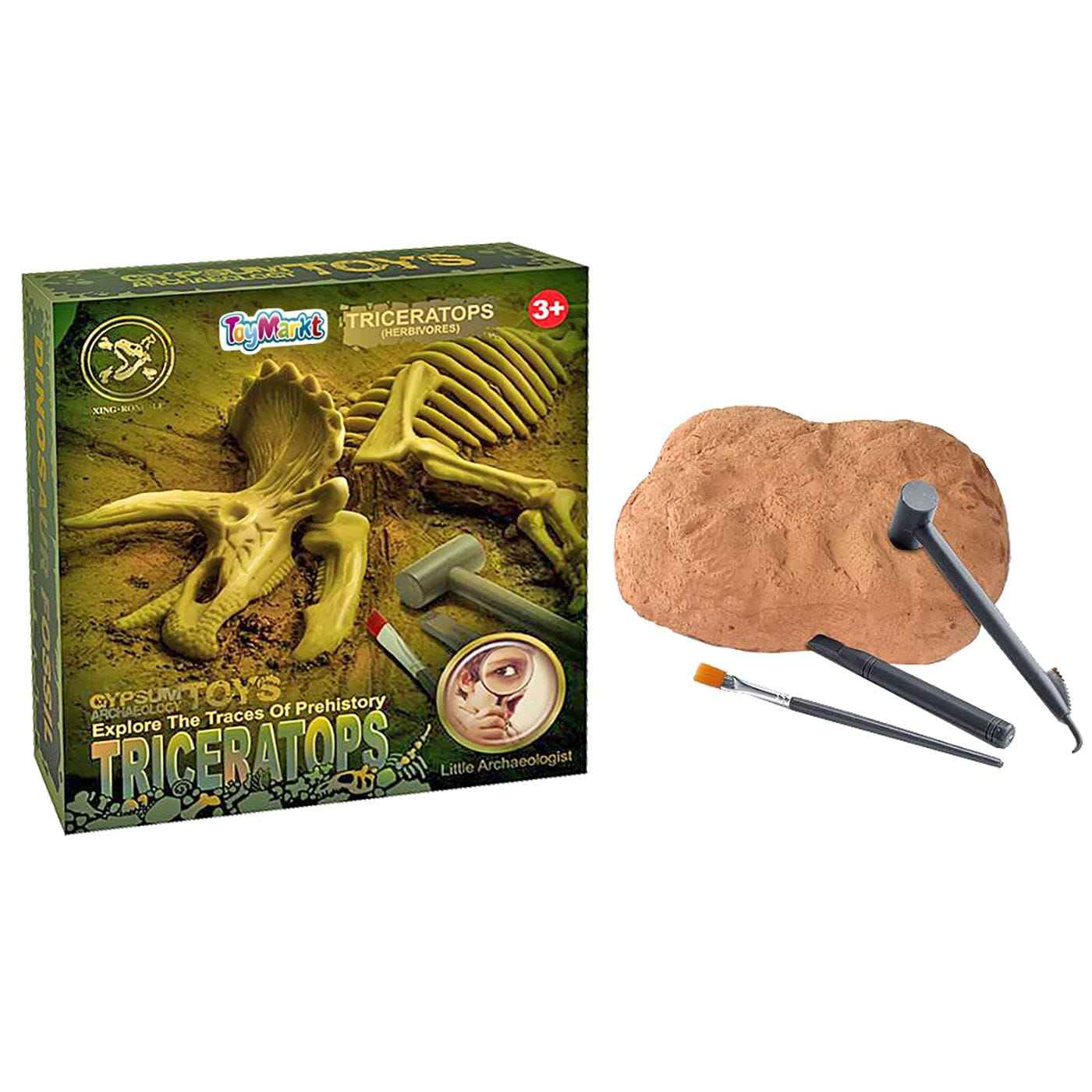 Σκελετός Δεινοσαύρου σε Κουτί 20x22x5cm ToyMarkt 913299