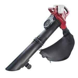 RAIDER R20 Solo Φυσητήρας μπαταρίας 40V RDP-SEBV20 077403