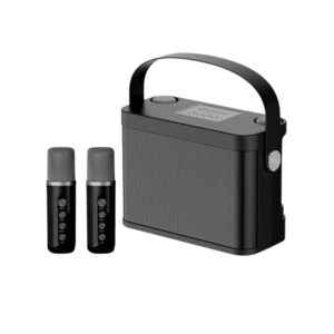 Ασύρματο ηχείο Bluetooth με 2 μικρόφωνα Karaoke - YS-219 - 887240 - Black