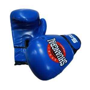 Γάντια πυγμαχίας - 10oz - 290267 - Blue