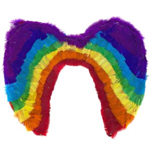 Φτερά Πολύχρωμα 50x35cm Carnavalista 232261