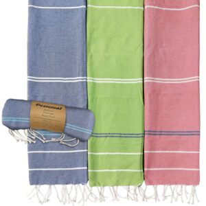 Πετσέτα Θαλάσσης Pestemal Λεπτές Ρίγες ~280g 90x180cm SummerTiempo 623389